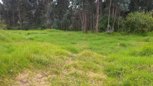 TERRENO INDUSTRIAL, ubicado en la vía Amaguaña, 9622m2, 148 metros de frente