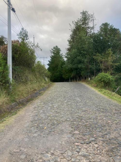 RUMIPAMBA, sector la Moca, vendo 2706m2 de terreno, con construcción, tiene luz y agua